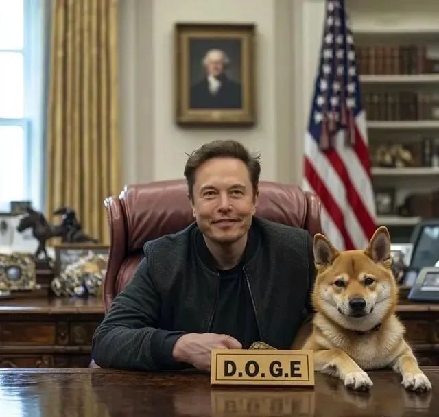 特朗普任命马斯克为“DOGE”部长！狗币大涨？  第4张